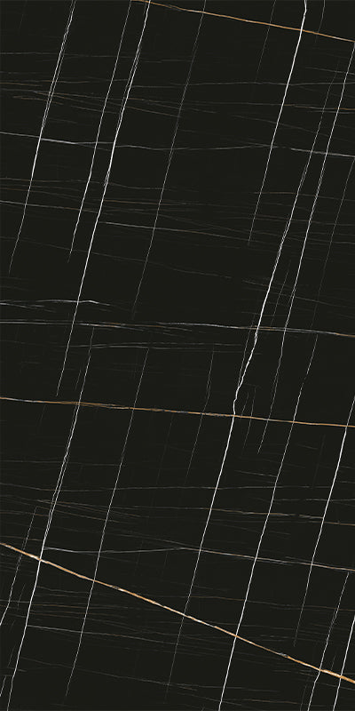 Sahara Noir